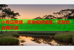 小黄瓜视频，尽享视听盛宴，交友约会两不误