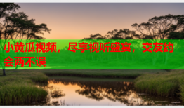 小黄瓜视频，尽享视听盛宴，交友约会两不误