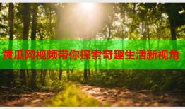 黄瓜网视频带你探索奇趣生活新视角