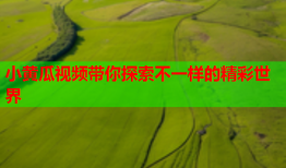 小黄瓜视频带你探索不一样的精彩世界