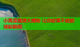 小黄瓜视频大揭秘 让你欲罢不能的精彩瞬间