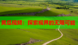 黄瓜视频：探索视界的无限可能