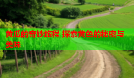 黄瓜的奇妙旅程 探索黄色的秘密与美味