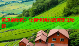 黄瓜的秘密：让你惊艳的清爽美味秘籍