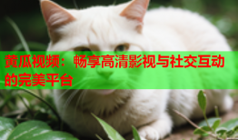 黄瓜视频：畅享高清影视与社交互动的完美平台