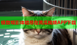 极致观影体验尽在黄瓜视频APP下载
