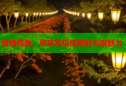 独特视角，尽享黄瓜视频的无限魅力