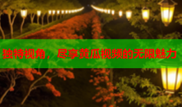 独特视角，尽享黄瓜视频的无限魅力