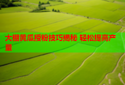 大棚黄瓜授粉技巧揭秘 轻松提高产量