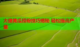 大棚黄瓜授粉技巧揭秘 轻松提高产量