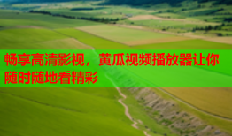 畅享高清影视，黄瓜视频播放器让你随时随地看精彩