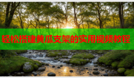 轻松搭建黄瓜支架的实用视频教程