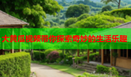 大黄瓜视频带你探索奇妙的生活乐趣