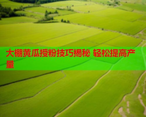 大棚黄瓜授粉技巧揭秘 轻松提高产量