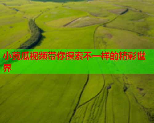 小黄瓜视频带你探索不一样的精彩世界