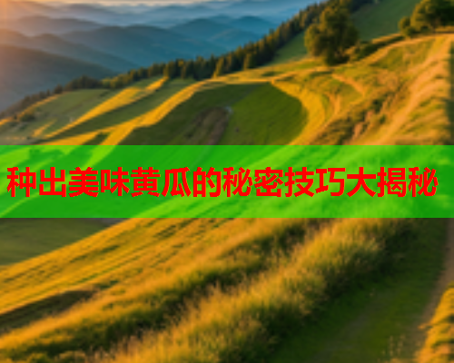 种出美味黄瓜的秘密技巧大揭秘