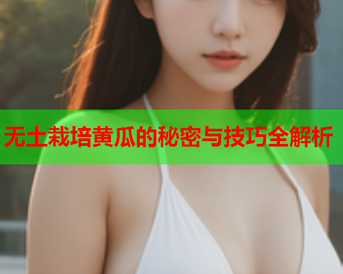 无土栽培黄瓜的秘密与技巧全解析