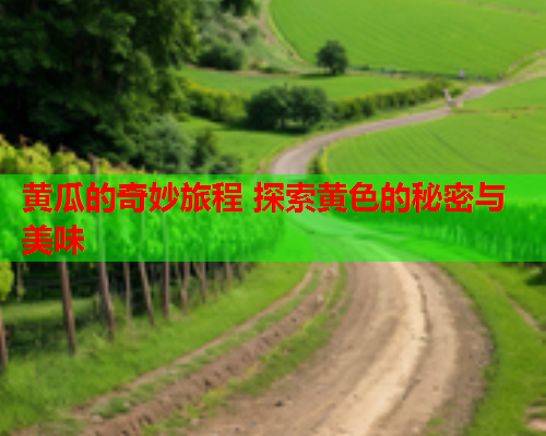 黄瓜的奇妙旅程 探索黄色的秘密与美味