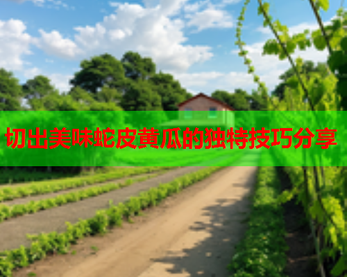 切出美味蛇皮黄瓜的独特技巧分享
