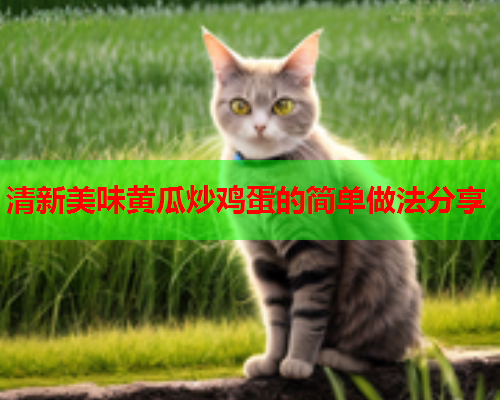 清新美味黄瓜炒鸡蛋的简单做法分享