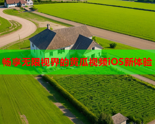 畅享无限视界的黄瓜视频iOS新体验