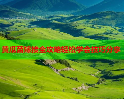 黄瓜苗嫁接全攻略轻松学会技巧分享