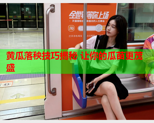 黄瓜落秧技巧揭秘 让你的瓜苗更茂盛