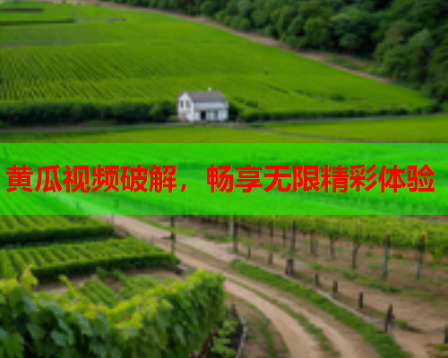 黄瓜视频破解，畅享无限精彩体验