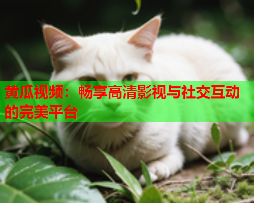 黄瓜视频：畅享高清影视与社交互动的完美平台